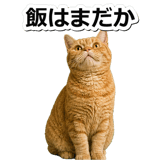 845883079