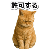 845883080