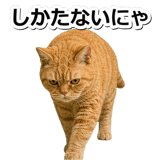 845883083