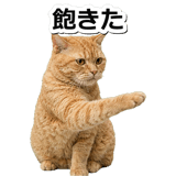 845883088