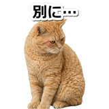 845883093