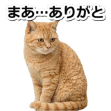 845883094
