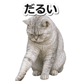 845883114
