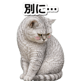845883133