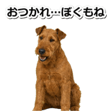 845883156