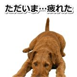 845883158