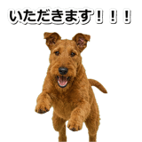 845883160