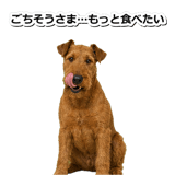 845883161