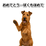 845883166