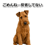 845883167