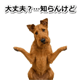 845883168