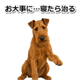 845883170