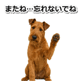 845883171