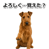 845883172