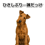 845883173