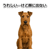 845883175