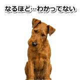 845883176