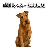 845883181