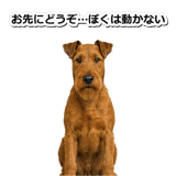845883182