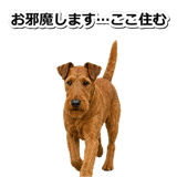 845883183