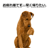 845883185