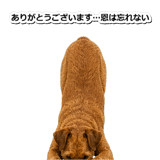 845883187