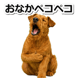 845883498