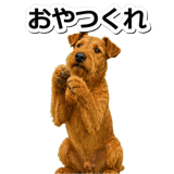 845883499