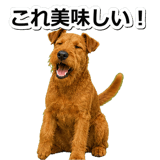 845883500