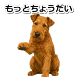 845883501