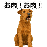 845883502