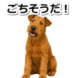 845883503