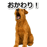 845883505