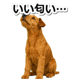 845883506