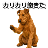 845883511