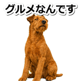 845883514