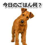 845883516