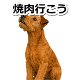 845883518