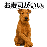 845883519