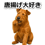 845883527
