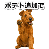 845883528