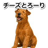 845883530