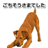 845883535