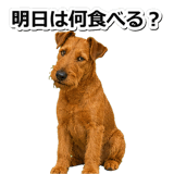 845883536