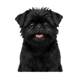 845883562