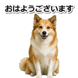 845883689