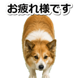 845883690