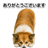 845883691