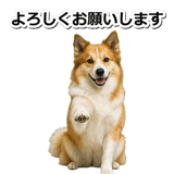 845883692
