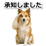 845883693